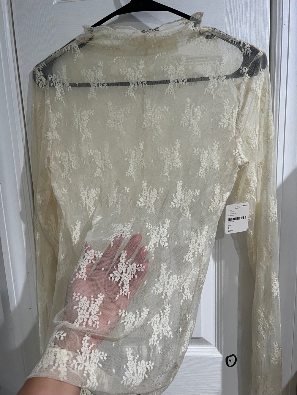 Free People Delicate Sheer Lace Long-Sleeve Top in Cream - Picture 2 of 3